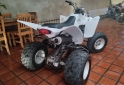 Cuatris y UTVs - Yamaha RAPTOR 2011  99Km - En Venta