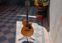 Instrumentos Musicales - Guitarra Ibanez electroacústica modelo AEG lg. - En Venta