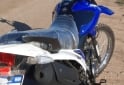 Motos - Motomel Skua 250 2024 Nafta 250Km - En Venta