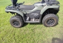 Cuatris y UTVs - CF CForce 450L 2024 395Km - En Venta