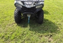 Cuatris y UTVs - CF CForce 450L 2024 395Km - En Venta