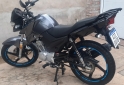 Motos - Yamaha Ybr z 125 2024 Nafta 9000Km - En Venta