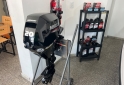 Otros (Nutica) - Mercury 20 hp 4t inyeccin nuevo nautistore oficial rosario - En Venta