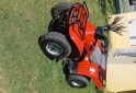 Cuatris y UTVs - Honda Fourtrax 1996  1000Km - En Venta
