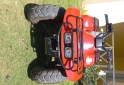 Cuatris y UTVs - Honda Fourtrax 1996  1000Km - En Venta