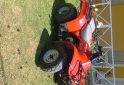 Cuatris y UTVs - Honda Fourtrax 1996  1000Km - En Venta