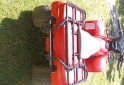 Cuatris y UTVs - Honda Fourtrax 1996  1000Km - En Venta