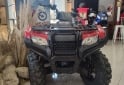 Cuatris y UTVs - Honda TRX420 2025  0Km - En Venta