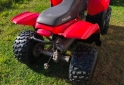 Cuatris y UTVs - Polaris PHOENEIX 200 AUT 2008  1111Km - En Venta