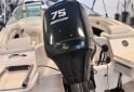 Embarcaciones - Canestrari 160 con Mercury 75hp 2T Año 1018 - con 100hs de uso! - En Venta