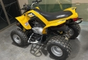 Cuatris y UTVs - Can Am 250 cc 2022 111111Km - En Venta