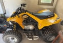 Cuatris y UTVs - Can Am 250 cc 2022 111111Km - En Venta