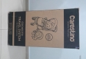 Artculos para beb - Cochecito + Huevito Carestino - En Venta