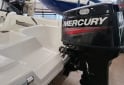 Embarcaciones - ECOPLAS Vr 520 Mercury 40 hp 2t - En Venta