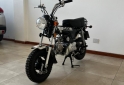 Motos - Mondial Dax 70 2025 Nafta 600Km - En Venta