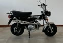 Motos - Mondial Dax 70 2025 Nafta 600Km - En Venta
