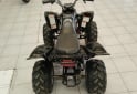 Cuatris y UTVs - Guerrero CUATRICICLO 110 2013 120Km - En Venta