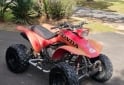 Cuatris y UTVs - Honda TRX 300 1999 111111Km - En Venta
