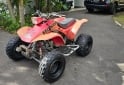 Cuatris y UTVs - Honda TRX 300 1999 111111Km - En Venta