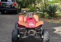Cuatris y UTVs - Honda TRX 300 1999 111111Km - En Venta