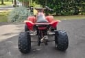 Cuatris y UTVs - Honda TRX 300 1999 111111Km - En Venta