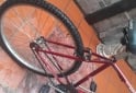 Deportes - Bicicletas rodado 26 .hombre todo terreno sin cambio - En Venta