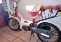 Motos - Zanella pocket 1988 Nafta 111Km - En Venta