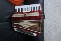 Instrumentos Musicales - Acordeon Fratti Hermosa 120 bajos - En Venta