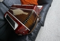 Instrumentos Musicales - Acordeon Fratti Hermosa 120 bajos - En Venta