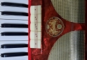 Instrumentos Musicales - Acordeon Fratti Hermosa 120 bajos - En Venta