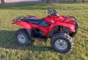 Cuatris y UTVs - Honda TRX 420 FA 2011 12400Km - En Venta