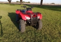 Cuatris y UTVs - Honda TRX 420 FA 2011 12400Km - En Venta