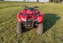 Cuatris y UTVs - Honda TRX 420 FA 2011 12400Km - En Venta