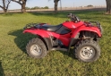 Cuatris y UTVs - Honda TRX 420 FA 2011 12400Km - En Venta