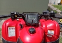 Cuatris y UTVs - Honda TRX 420 FA 2011 12400Km - En Venta