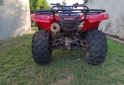Cuatris y UTVs - Honda TRX 420 FA 2011 12400Km - En Venta