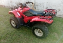 Cuatris y UTVs - Honda TRX 420 FA 2011 12400Km - En Venta