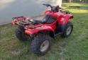Cuatris y UTVs - Honda TRX 420 FA 2011 12400Km - En Venta
