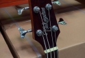 Instrumentos Musicales - BAJO ACUSTICO TAKAMINE [ GB30ce] - En Venta