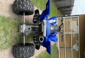 Cuatris y UTVs - Yamaha Raptor 700 2012  4230Km - En Venta