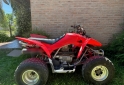 Cuatris y UTVs - Honda TRX 250X 2011 1000Km - En Venta