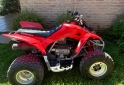 Cuatris y UTVs - Honda TRX 250X 2011 1000Km - En Venta
