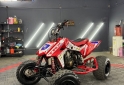Cuatris y UTVs - Honda TRX 450R 2009 10000Km - En Venta