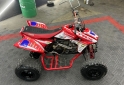 Cuatris y UTVs - Honda TRX 450R 2009 10000Km - En Venta