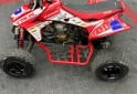 Cuatris y UTVs - Honda TRX 450R 2009 10000Km - En Venta