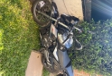 Motos - Benelli Tnt 150cc 2022 Nafta 18000Km - En Venta