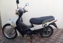 Motos - Otra marca Siam qu 2023 Nafta 124Km - En Venta