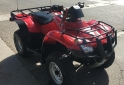 Cuatris y UTVs - Honda TRX 250CC RECON 2007 8500Km - En Venta