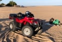 Cuatris y UTVs - Honda TRX 250CC RECON 2007 8500Km - En Venta