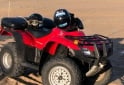 Cuatris y UTVs - Honda TRX 250CC RECON 2007 8500Km - En Venta
